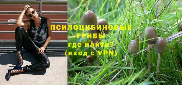 метадон Алзамай
