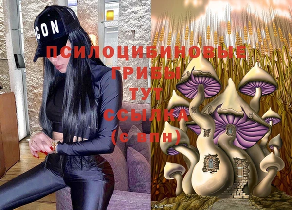 метадон Алзамай