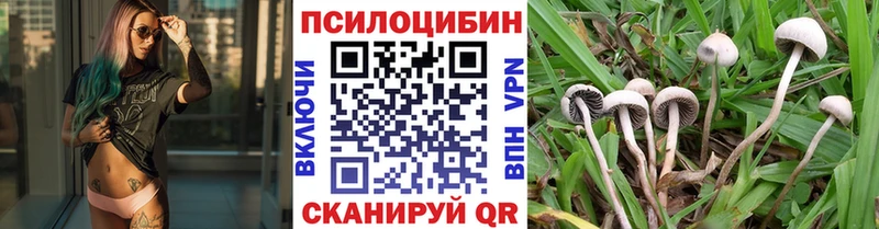 мориарти наркотические препараты ссылка на мегу ССЫЛКА Камышин Псилоцибиновые грибы ЛСД